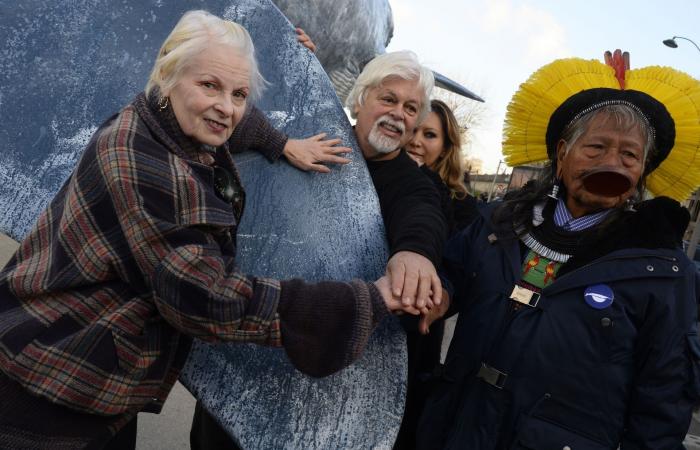 ¿Por qué Japón quiere extraditar a Paul Watson? Activista contra la caza de ballenas liberado de prisión después de que Dinamarca rechazara la extradición