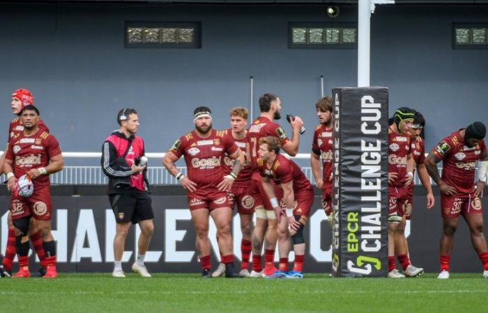 Rugby – Challenge Cup: después de haber sabido existir en Europa, la USAP pasó rápidamente al Top 14 y su viaje al Stade Français