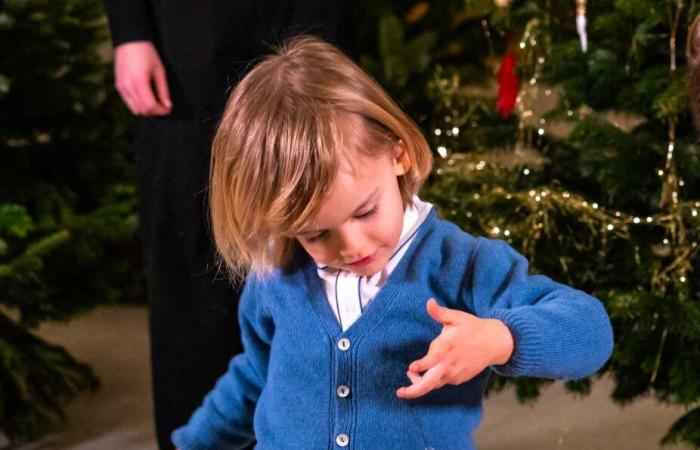 Los 8 nietos de la Reina Silvia se reunieron para decorar árboles de Navidad con su abuela