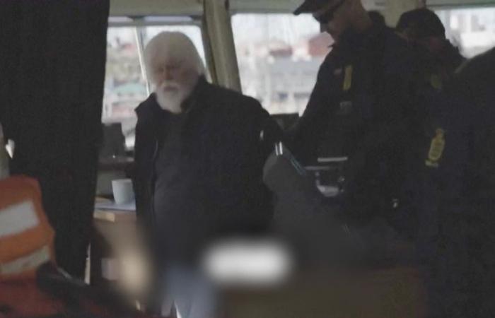 Paul Watson liberado. El presidente bretón de Sea Shepherd Francia está en la prisión de Groenlandia para recogerlo