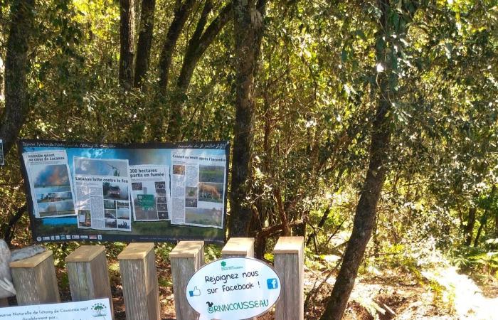 Se jubila François Sargos, el curador que transformó la reserva nacional de Cousseau en Lacanau