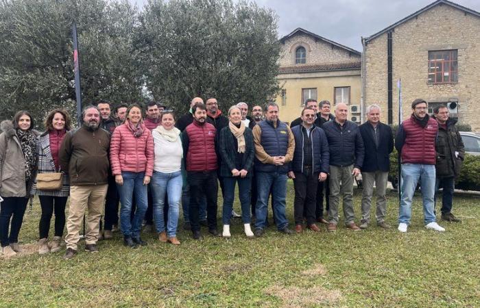 Elecciones a la Cámara de Agricultura del Gard: la FDSEA, la JA, la cooperación y los viticultores independientes presentan “una lista sindical común”