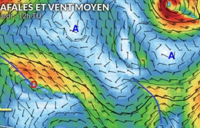 El tiempo Vendée Globe: en el Pacífico o en la India, cada uno está en su propio mundo.