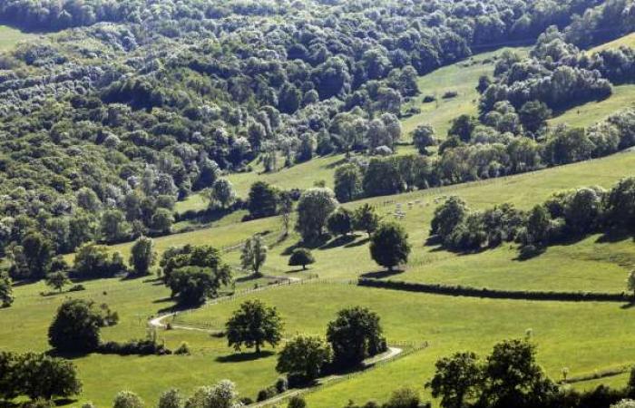 Desarrollo del suelo agrícola y forestal en Côte-d’Or