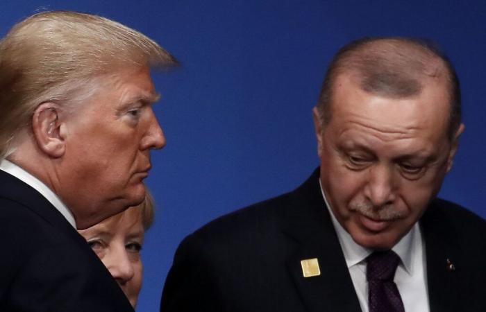 Trump cree que la Turquía de Erdogan ha tomado “el control hostil” de Damasco