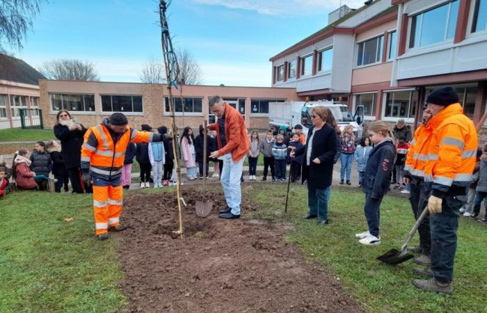 Los escolares de esta localidad de Eure participaron en la plantación de árboles