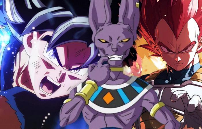 Finalmente sabemos cómo se puede matar a Beerus.