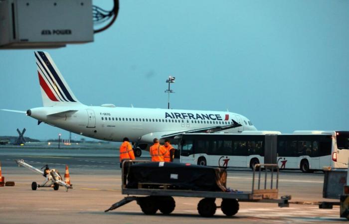 Huelga de controladores aéreos en Francia: no habrá aviones hacia y desde Lyon este martes en Niza