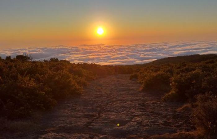 El tiempo en Reunión: ¡nos espera un día muy bonito, el sol generoso desde el amanecer!