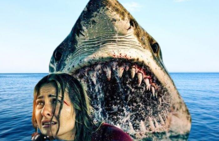 Un tráiler lleno de tiburones y peces gordos para el regreso de este actor de Tiburón