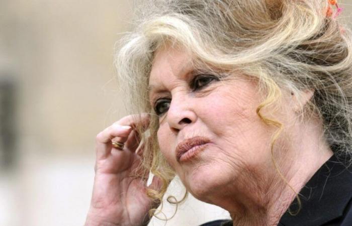 Brigitte Bardot expresa su alegría tras la liberación de Paul Watson