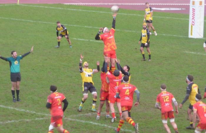 Foix. Rugby: los equipos senior ganan