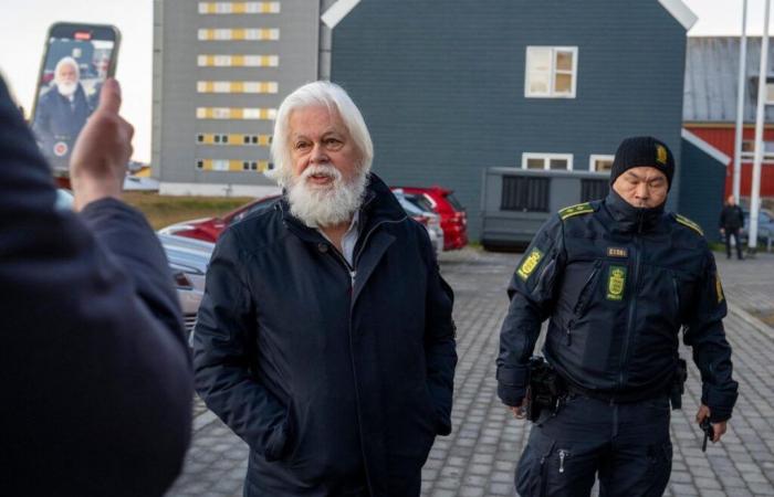 Paul Watson en libertad: Dinamarca rechaza la extradición a Japón