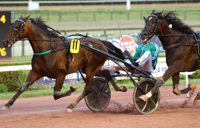 CARRERAS DEL MIÉRCOLES EN PARÍS-VINCENNES