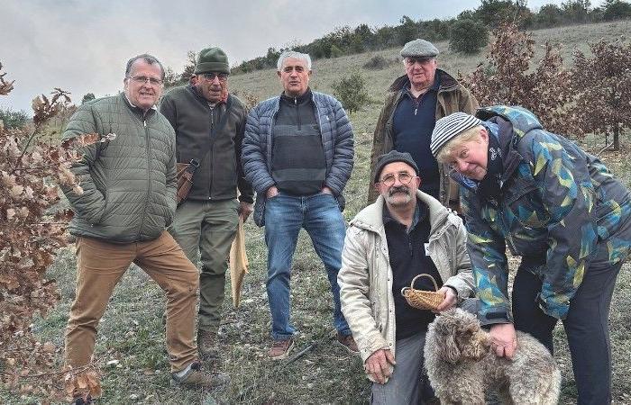 Aveyron. ¡La temporada de la trufa está abierta!