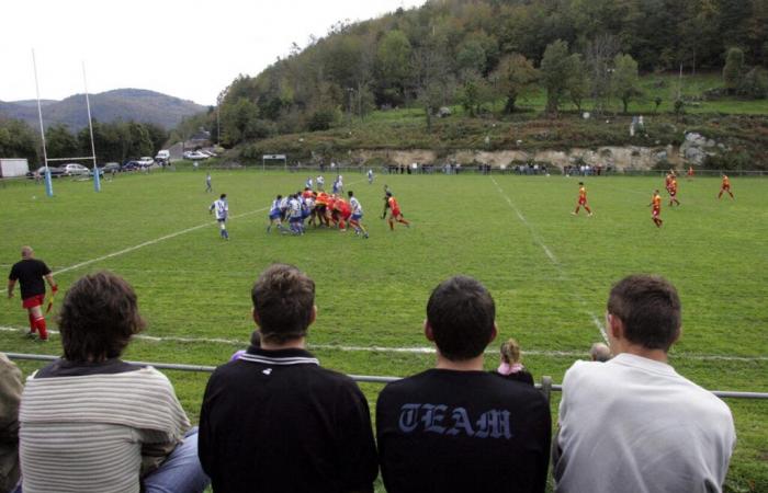 VIDEO. Durante un partido de rugby amateur, un jugador fue golpeado de forma divertida por… ¡un ciervo!