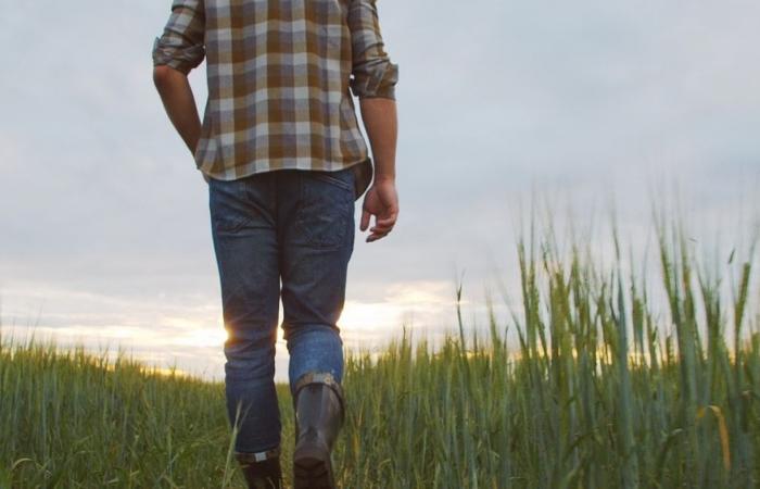 Un criador de Lozère elegido Mister France Agricole