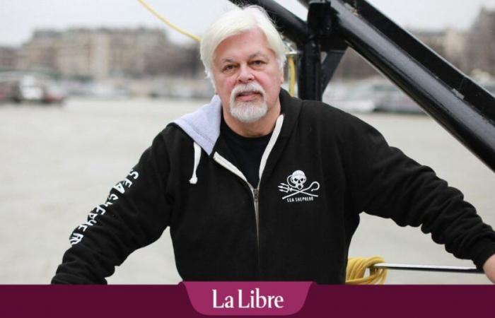 “Está libre”: Dinamarca no extraditará a Paul Watson a Japón