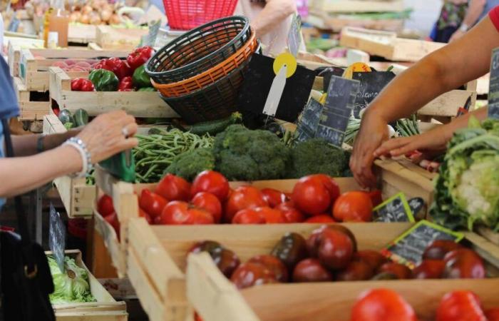 Residuos de sustancias peligrosas en el 62% de las frutas y hortalizas en Francia.