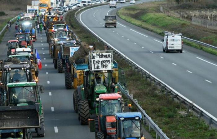 Las fracturas del mundo agrícola al descubierto.