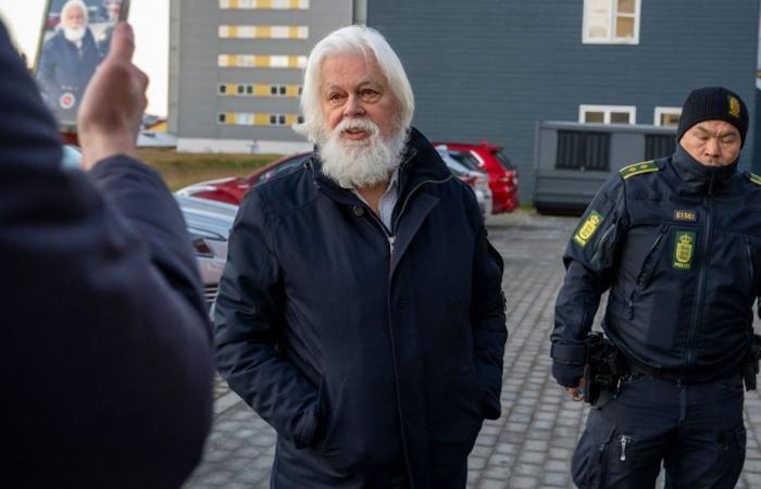 Paul Watson liberado después de que Dinamarca se negara a extraditarlo a Japón