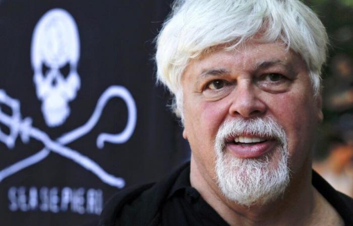 Dinamarca liberó al activista contra la caza de ballenas Paul Watson, pero no lo extraditará a Japón