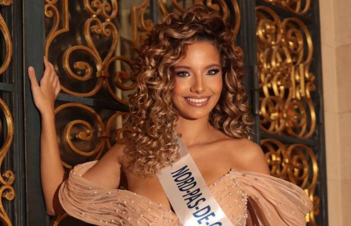 “Listo para reemplazar a Miss Francia si es necesario”