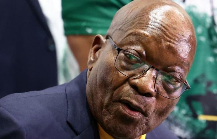 Sudáfrica: Zuma pide la unidad de los partidos negros para recuperar el poder