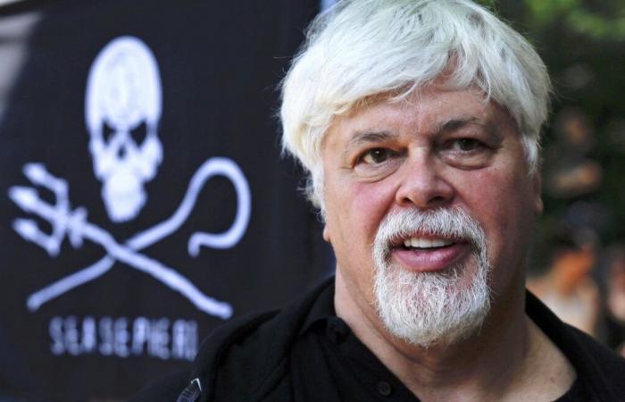 Liberado de su prisión danesa, ¿Paul Watson está fuera de peligro?