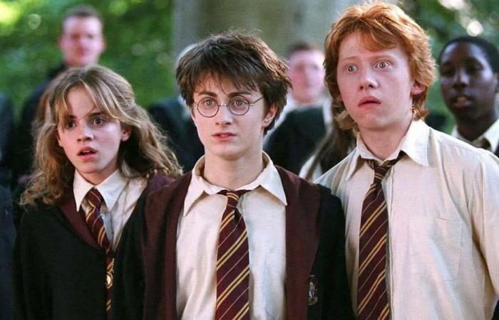 El elenco original de ‘Harry Potter’ regresa a la pantalla grande en medio de una reacción violenta por el reinicio