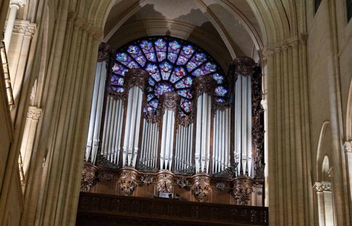 ¿Quién es Claire Tabouret, la francesa elegida para crear las nuevas vidrieras de Notre-Dame de París?