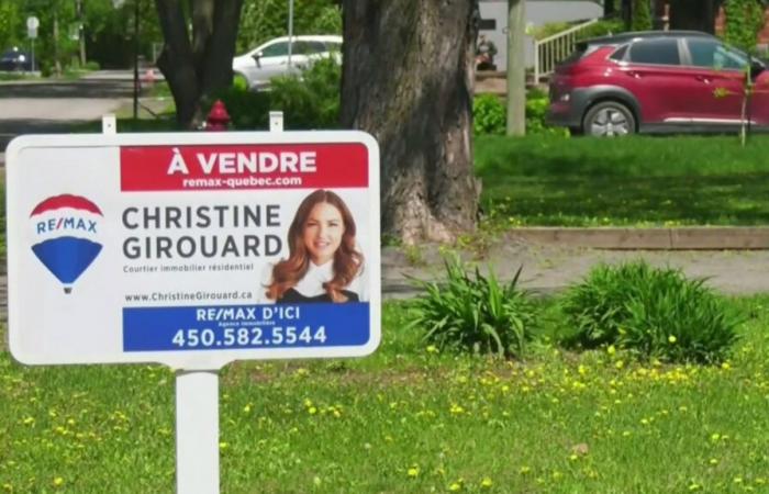 La ex corredora inmobiliaria estrella Christine Girouard inhabilitada de por vida