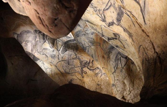 La cueva de Chauvet, capilla sixtina de la prehistoria, celebra treinta años de su descubrimiento