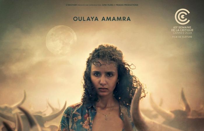 “Animal”: terror femenino – La Libre