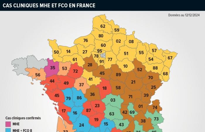 Paso de Calais: ¿Cuál es la situación sanitaria?