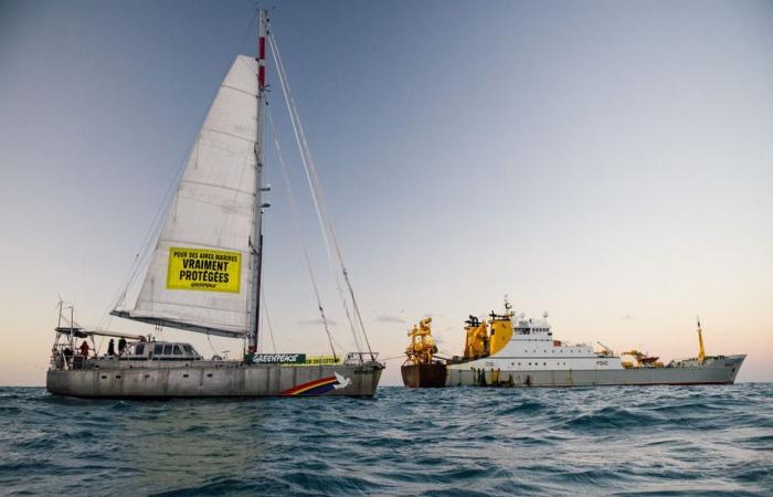 Áreas marinas protegidas: Greenpeace rastrea los barcos de pesca industrial