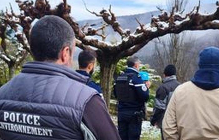 Dieciséis armas de caza, una ballesta, municiones… un auténtico arsenal descubierto en casa de un particular en Nant, Aveyron