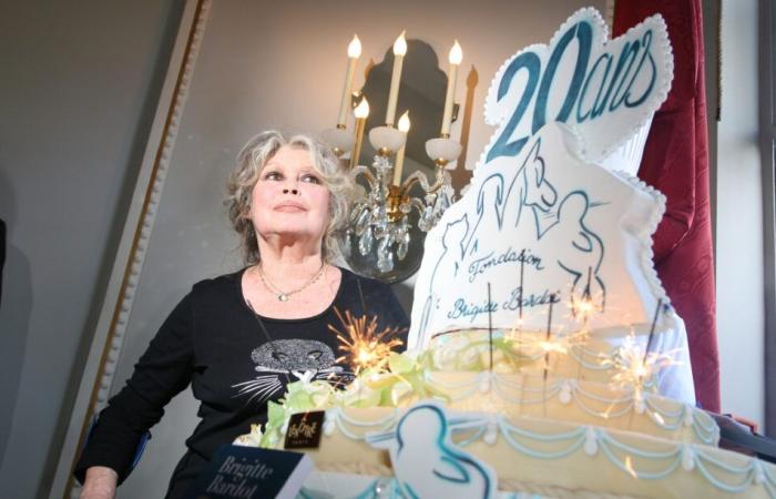 “El milagro de…”: Brigitte Bardot publica un significativo mensaje manuscrito tras una larga batalla