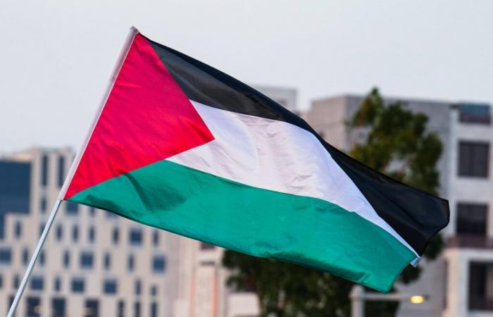 Bandera palestina, enfrentamientos… Un partido de la Copa de Europa interrumpido en Nanterre