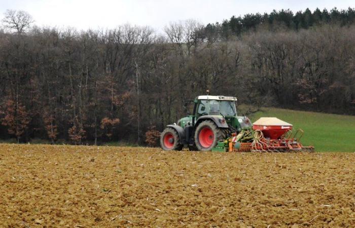 Crisis agrícola en Aude: el prefecto inicia el proceso de desgravación parcial del impuesto sobre la propiedad