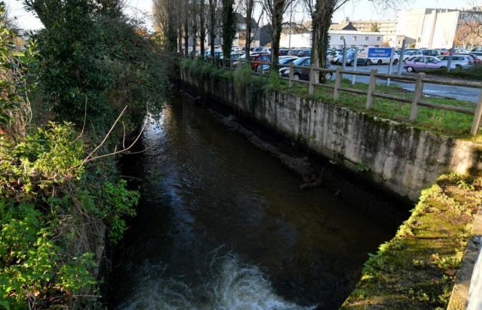 Una pequeña contaminación en uno de los cursos de agua de Cherbourg-en-Cotentin