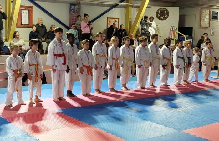 Karate: grandes competiciones departamentales en Ariège