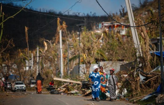 Primeras distribuciones de agua y alimentos previstas.