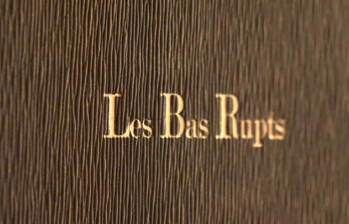 La etiqueta “Accueil Vélo” para casas rurales en Gérardmer, Basse-sur-le-Rupt, La Bresse, Le Valtin, Saulxures-sur-Moselotte y Xonrupt-Longemer