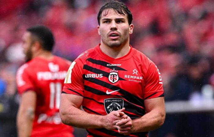 Rugby: diatriba de Antoine Dupont: “¡Quieren matarlo!”