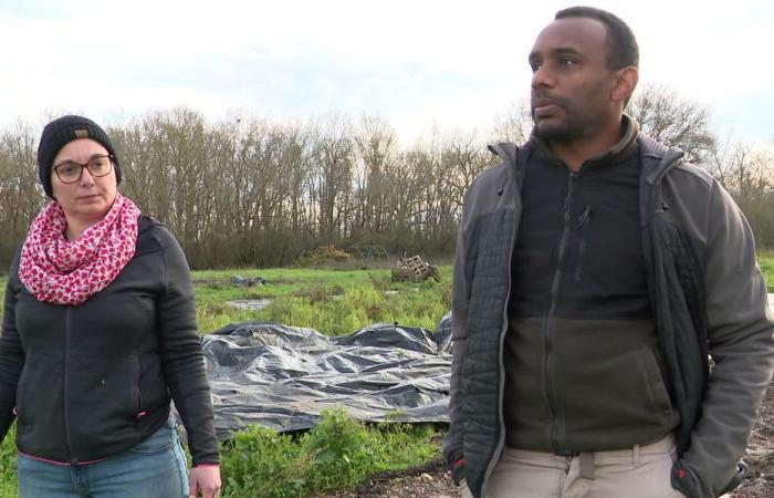 Después de inundaciones en sus campos, esta pareja de productores orgánicos se adaptan