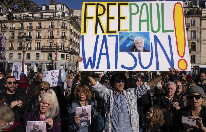 Tras la liberación del activista medioambiental Paul Watson, júbilo en Francia, incomprensión en Japón