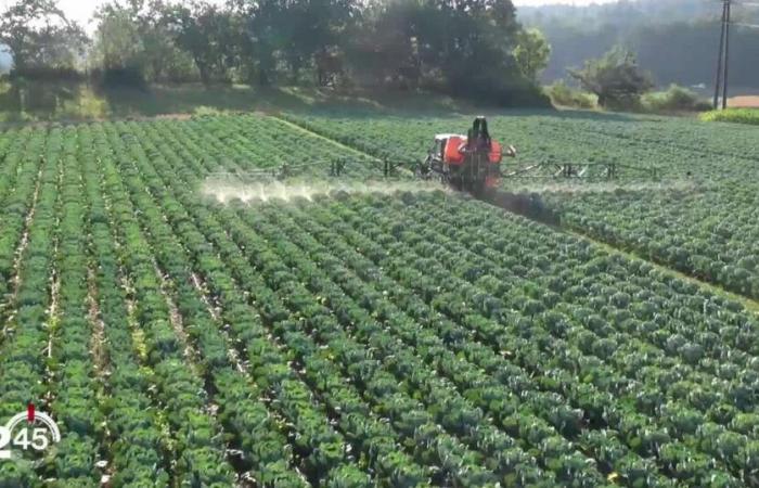 ¿Cuáles son los lugares más contaminados por TFA, de la familia de las PFAS, en Suiza? – rts.ch