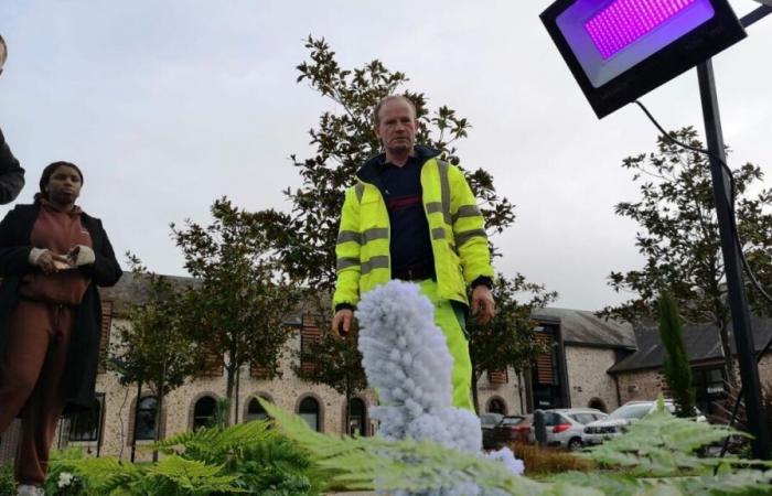 “Un día nuestros pueblos quedarán parcialmente iluminados gracias a este proceso”: cuando cae la noche, estas plantas se iluminan