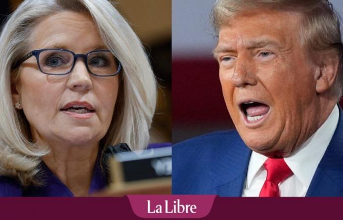 Trump advierte que la destacada crítica Liz Cheney podría estar en “grandes problemas”